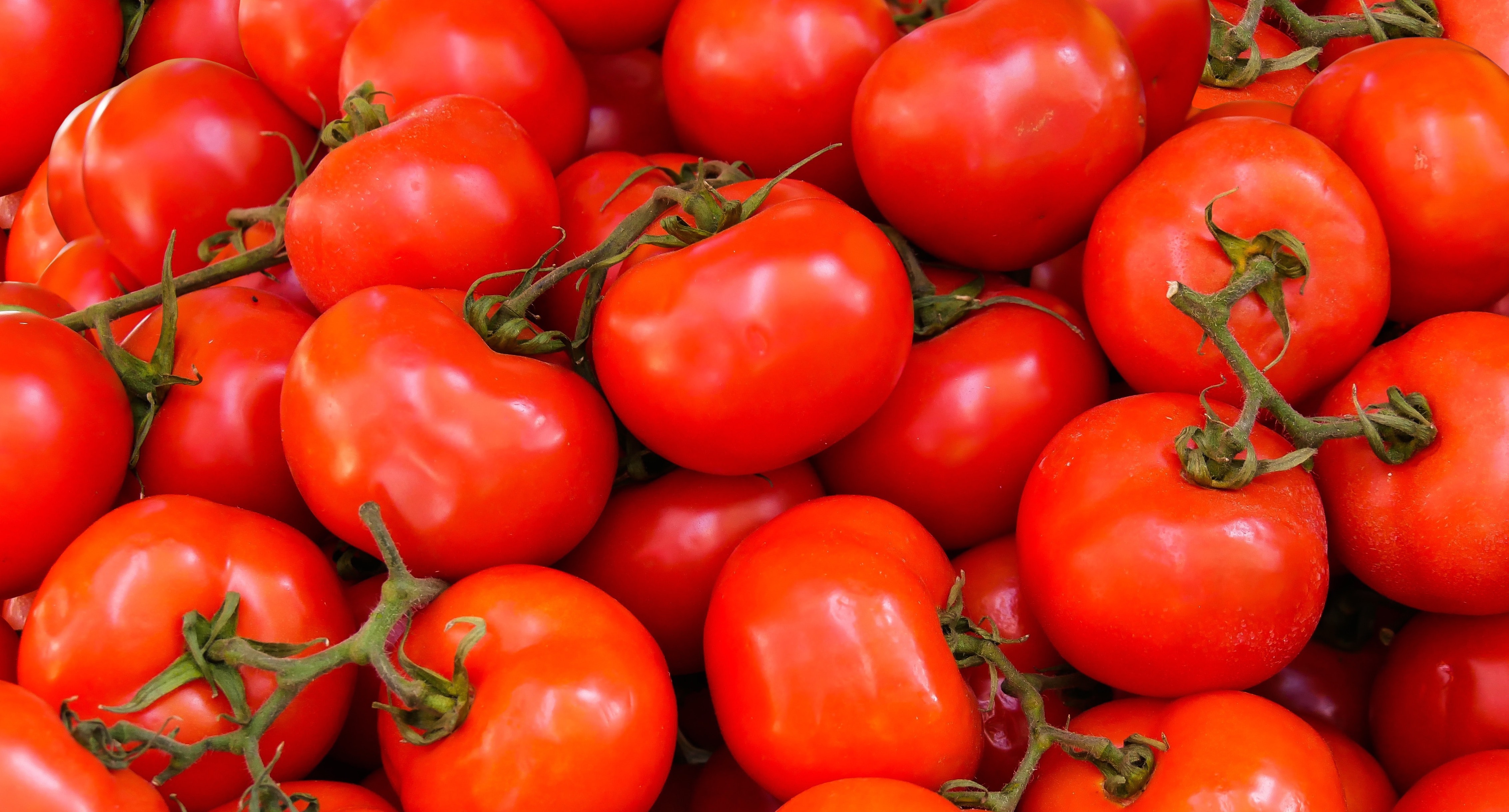 Tomatoes